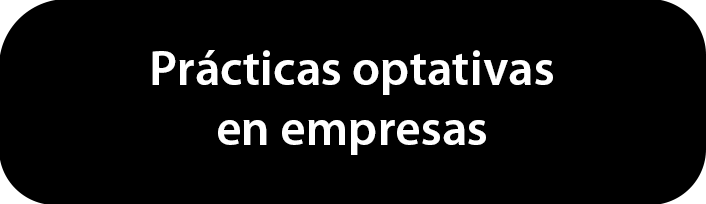 Prácticas optativas en empresas